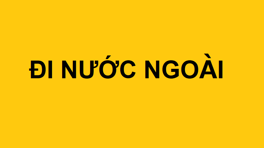 Đi nước ngoài là không giúp ích gì cho đất nước? 12